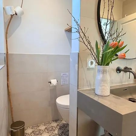 Haus Traumfänger Iii - A63394 Ferienhaus Ostseeheilbad Zingst