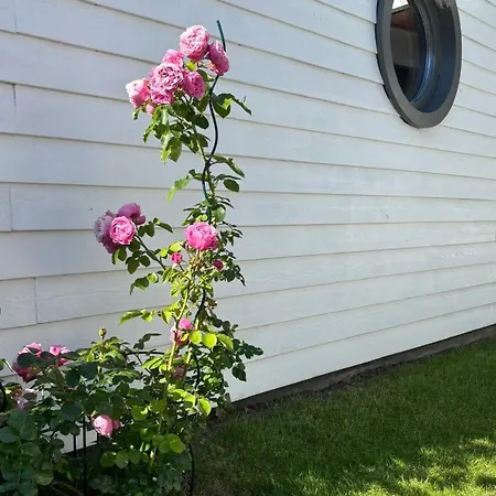 Haus Traumfänger Iii - A63394 Ostseeheilbad Zingst